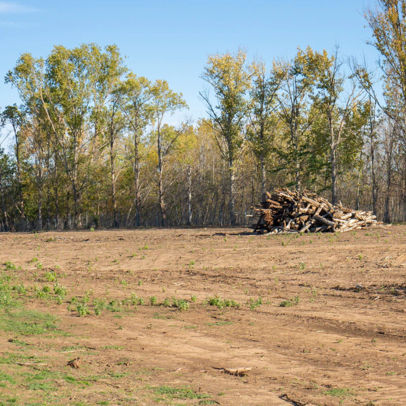 Land Management Services